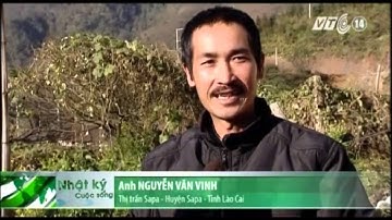 VTC14_Sa Pa lạnh 0 độ C, sương muối phủ trắng mặt đất