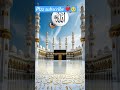 Allah ho✨✨🕋#viralvideo #fullpublic #ternding #islamicshorts #allha #youtubeshorts