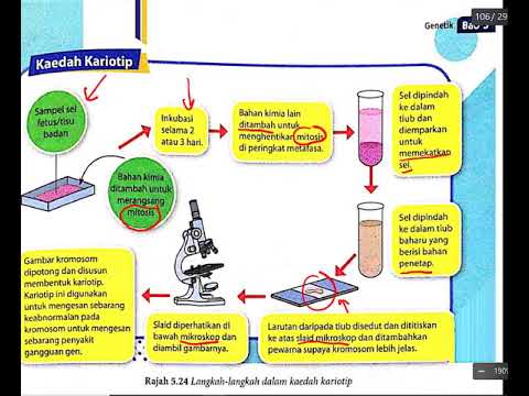 Video: Terobosan Dalam Kejuruteraan Genetik - Pandangan Alternatif