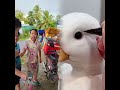 Nếu bạn thích video này, hãy nhấn nút thích và để lại bình luận cho tôi biết suy nghĩ của bạn nhé.