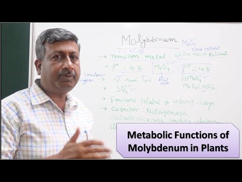 Metabolic Functions of Molybdenum in Plants.