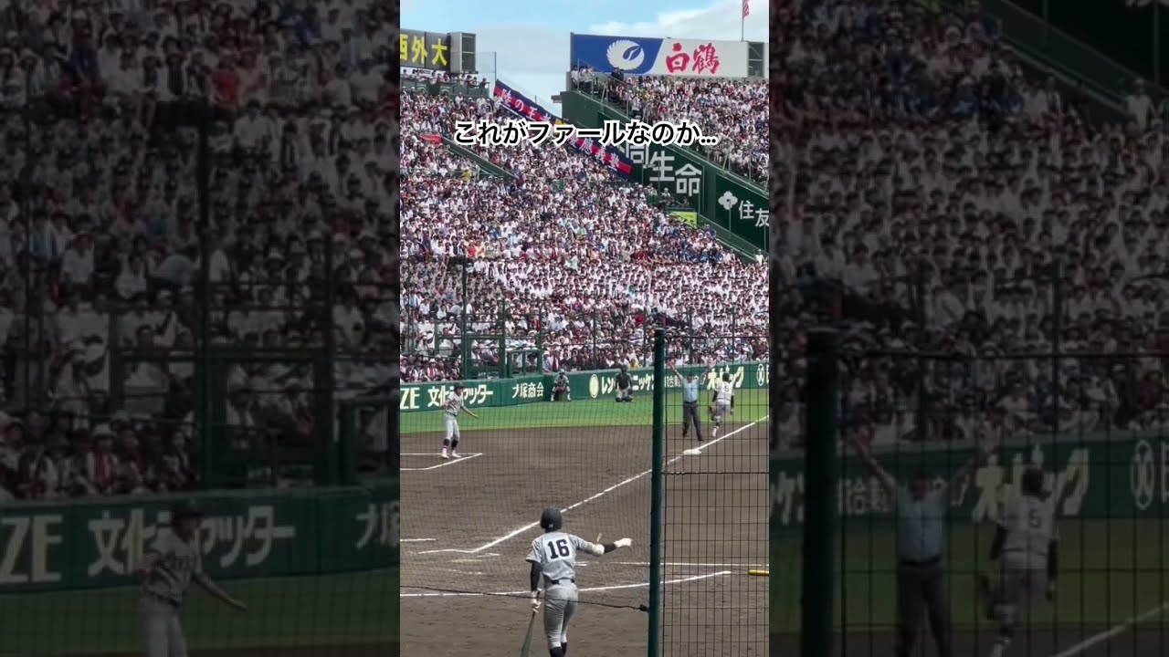 これがファールなのか… #高校野球 #甲子園 #慶應 #仙台育英