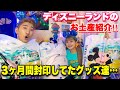【爆買】ずっと封印してたディズニーランドのお土産を紹介してたら事件起きました。。