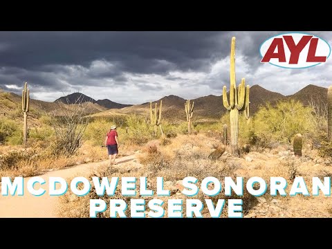 Video: Bedste Vandreture I McDowell Sonoran Preserve, Scottsdale, Arizona