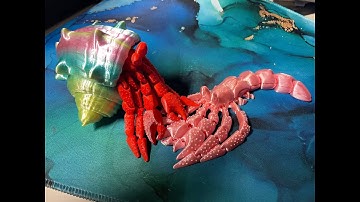 HERMIT CRAB 3D Print Timelapse Bambu Lab X1C STL FLX