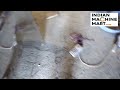 4 Molds Kulfi Making Machine | Amazing Machine | Indian Machine Mart
