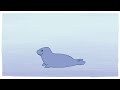 Fluffy seal animation