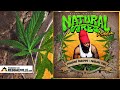 Pressure Busspipe - Perilous Time [Natural Vibes Riddim | Official Audio 2024]