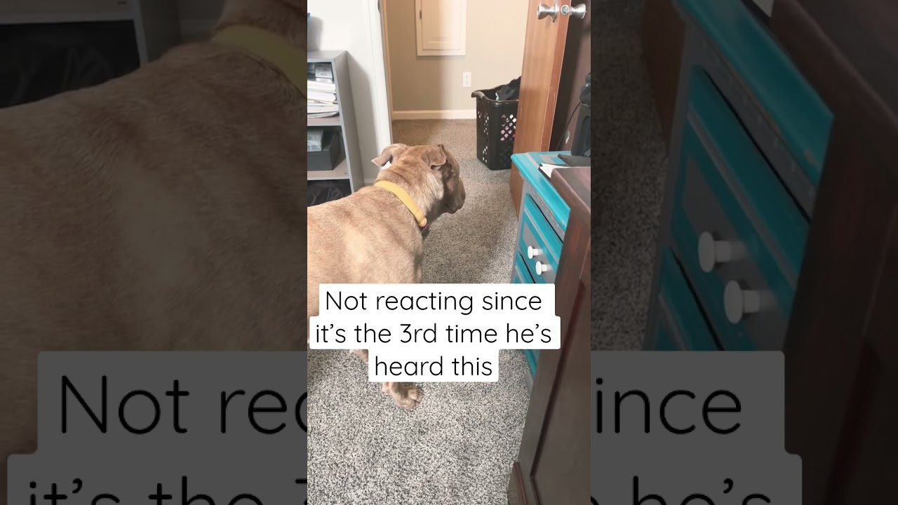 The ONE thing that caught his attention YouTube