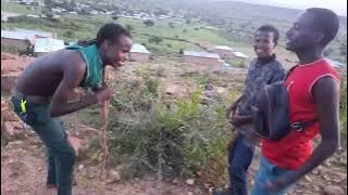 diraamaa Afaan Oramoo Kan bara 2016