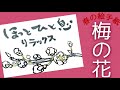 【春の絵手紙】梅の花の描き方　絵手紙の描き方　初心者向け