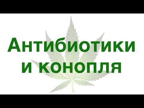 Антибиотики и конопля