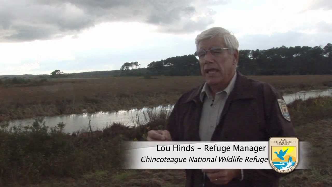 u.s. virgin islands Chincoteague National Wildlife Refuge Comprehensive Conservation Plan