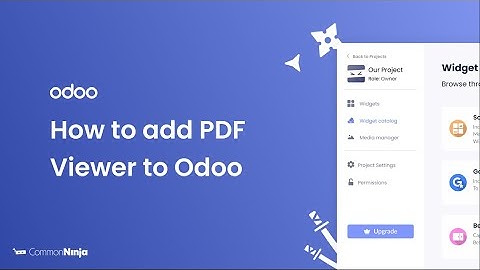 How to add a PDF viewer to Odoo