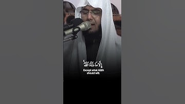 خشوع وسكينة و#راحة_نفسية في تلاوة آيات بينات من #سورة_الأعلى بصوت القارئ الشيخ #عبدالعزيز_العريقي