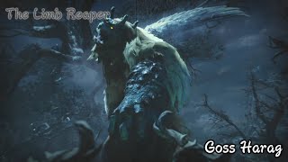 Monster Hunter Rise - Goss Harag Boss Fight #27