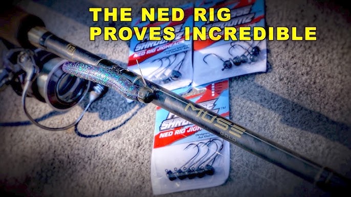 Ned Rig Smallmouth Bass  Underwater Crawfish Lure EATS‼️ 