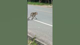 VID20250715163232 play 1