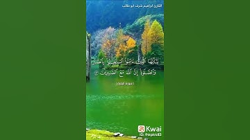 يايها الذين امنوا استعينوبالصبري والصلوة/القارئ ابراهيم شرف ابو طالب