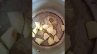 Home made Apple Cerelac ? viral dakshakiduniya shortvideo youtubeshorts apple cerelac recipe