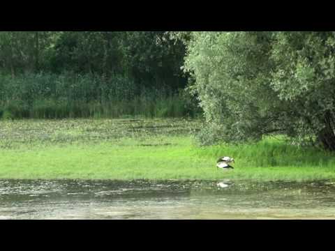 Khkopf-Die Magie des Sommers- Film von 2010-Kurt R...