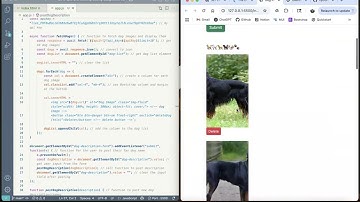 Week 12 Coding Assignment Video