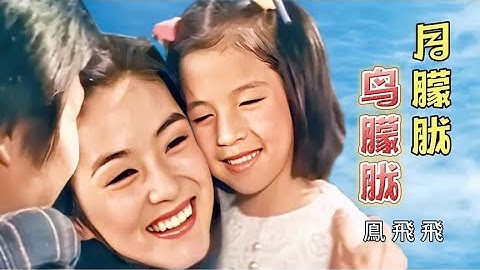 Thumbnail of 凤飞飞原唱《月朦胧鸟朦胧》主题曲，怀旧经典，满载岁月的记忆。