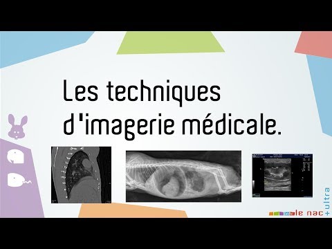 Vidéo: Développement D'une éprouvette Zoomorphe Pour Les Tests De Constance Sur Les Systèmes De Radiographie Numérique En Radiologie Vétérinaire