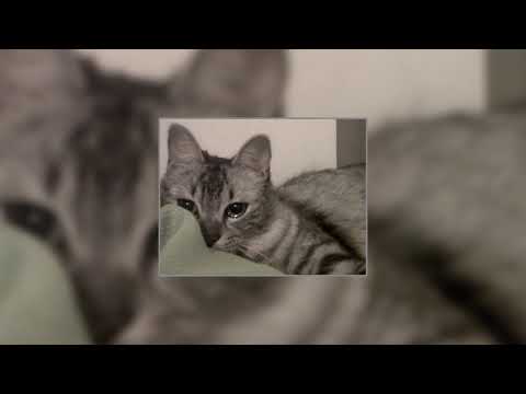 You are enough (Speed Up)