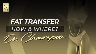 Where Can You Transfer Fat By Dr. Charepoo At Mia Aesthetics