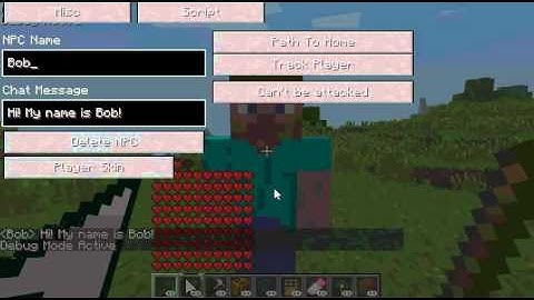 Tutorial: AdventureCraft NPC