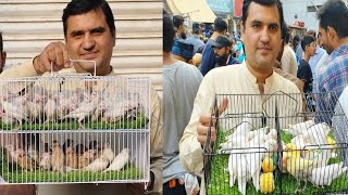 Birds Market Lalukhet Sunday Video Latest Update 17-12-23 in Urdu\/Hindi