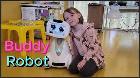 Buddy: Your Affordable Companion Powered by Emotional AI!