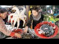 Market show | Buy octopus, shrimp and ingredient for yummy recipe | Cooking with sros