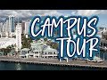 Virtual hpu campus tour  see what its like to live and study in hawaii