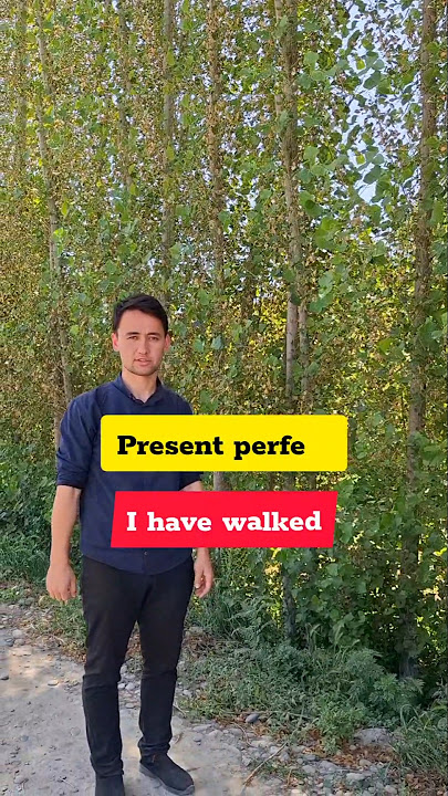 4 english tenses in 1 video | Mr Maxsud | English Max