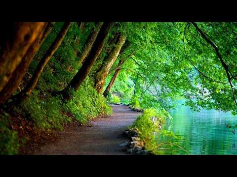 سورة ص | المصحف المرتل الكامل | القارئ عبد الله كامل رحمه الله