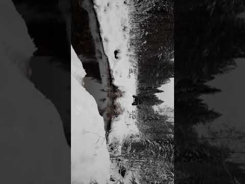 Едем на каракате