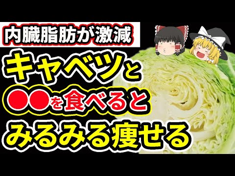 脂肪燃焼＆腸ピカピカ！キャベツと●●の組み合わせで激ヤセ！【ゆっくり解説】