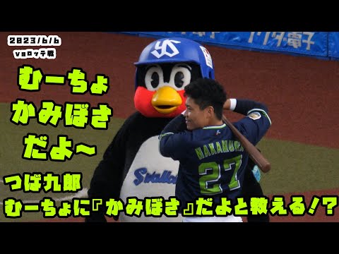 つば九郎　ムーチョに髪がボサボサと教えてあげる？？　2023/6/6 vsロッテ