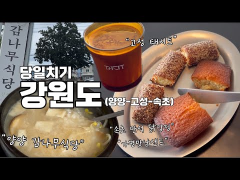 감나무식당