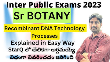 Explain Briefly The Various Processes of Recombinant DNA Technology | Botany Most Important Question