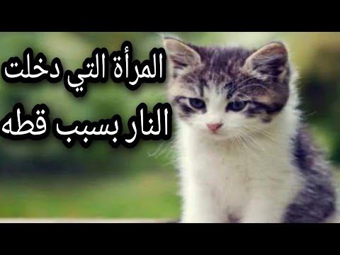 قصة المرأة التي دخلت النار بسبب قطه قصة دخلت النار في هرة قصة مؤثرة جدا قناة عظماء الصحابة