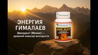 Шиладжит (мумие) — древний эликсир молодости суставов и энергии | Доктор Елена Олексюк