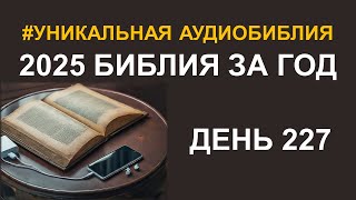 День 227.  Библия за год.  Библейский ультрамарафон портала «Иисус»
