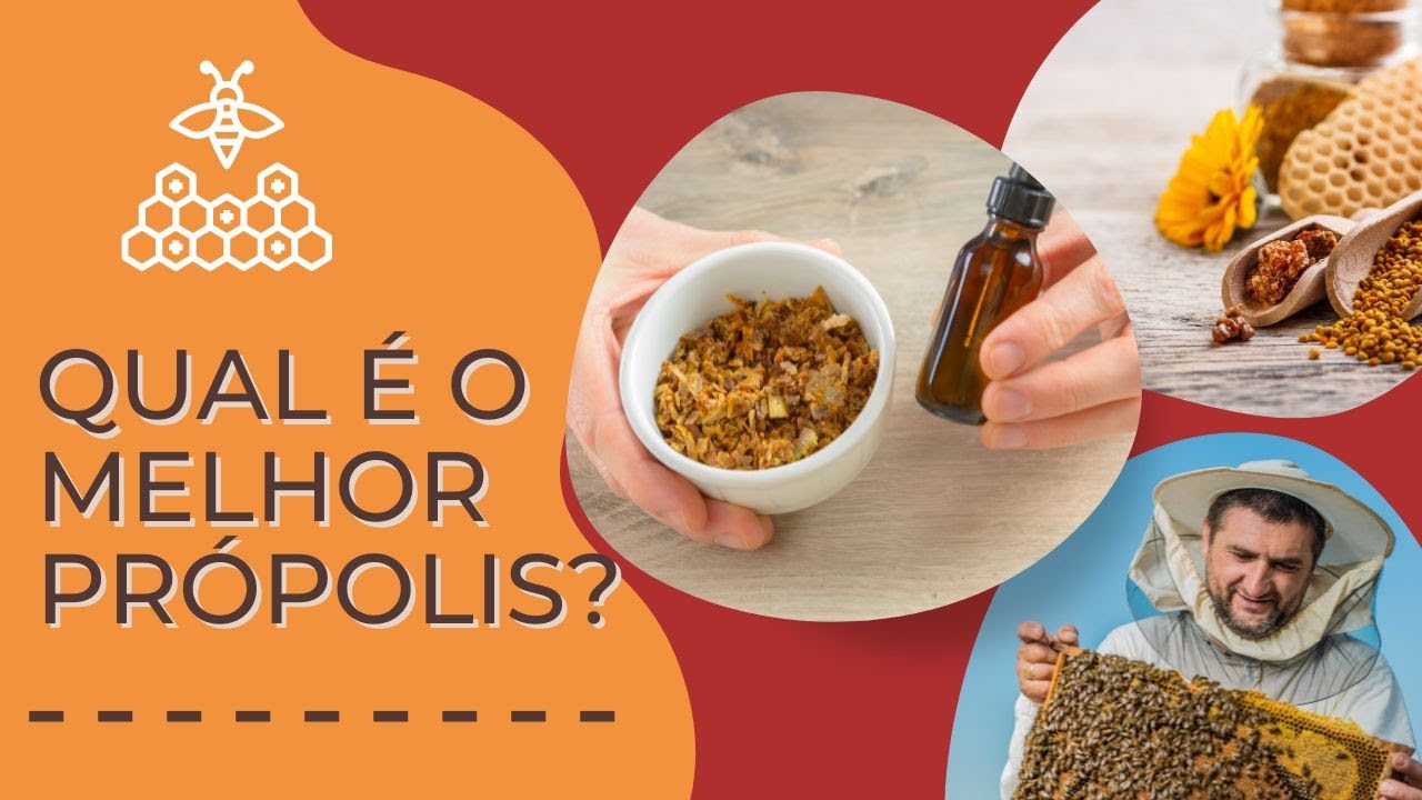 Qual o melhor própolis? - YouTube