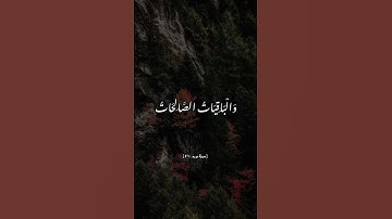 #سورة_مريم  #القرآن #ذكر_الله #لايك #اكسبلور #تلاوة_خاشعة #تلاوة #حالات_واتس #مؤثر #راحة_نفسية