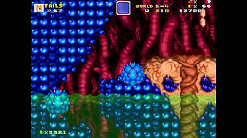 Mushroom Kingdom Fusion Playthrough~ Part 22/35