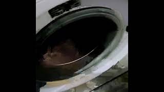 The Best Detergent For Dark And Coloured Laundry Perwoll Caps