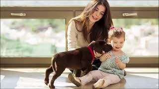 How Does ActivePure Work 2 Min Video